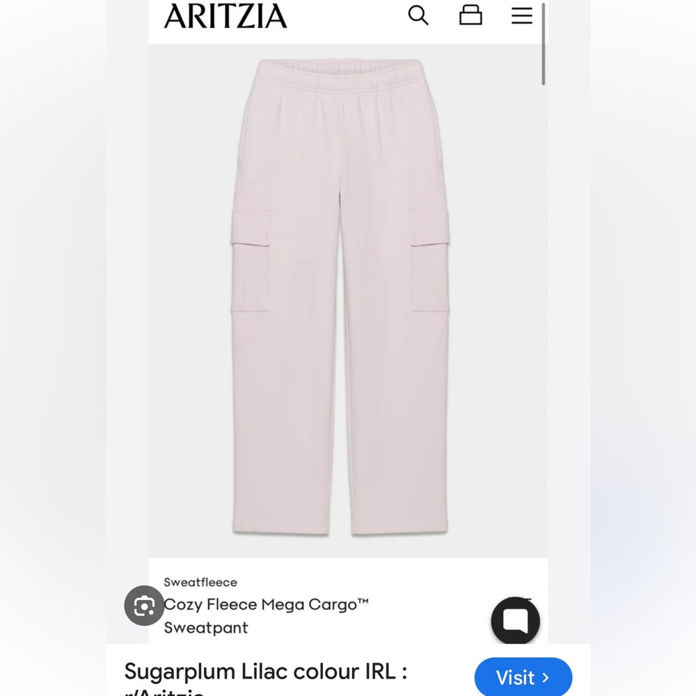 Aritzia Cargo Sweatpants